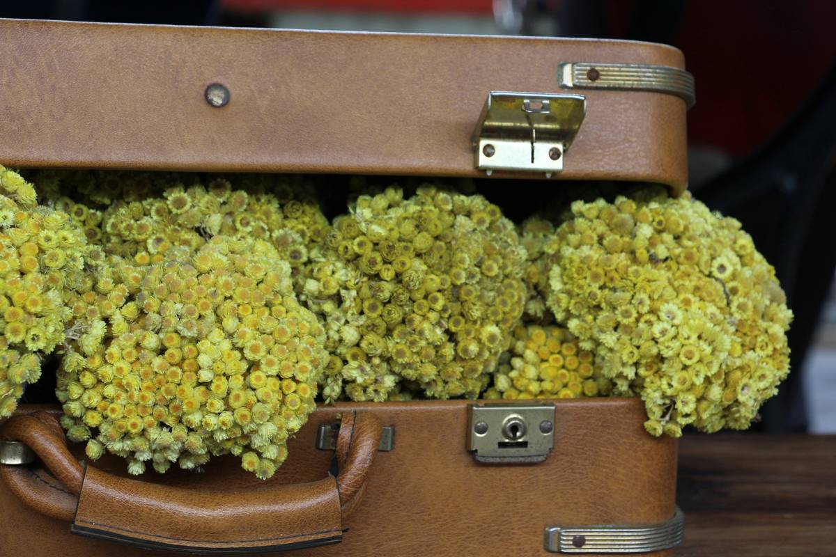 An Instagram-worthy turquoise suitcase surrounded by travel essentials