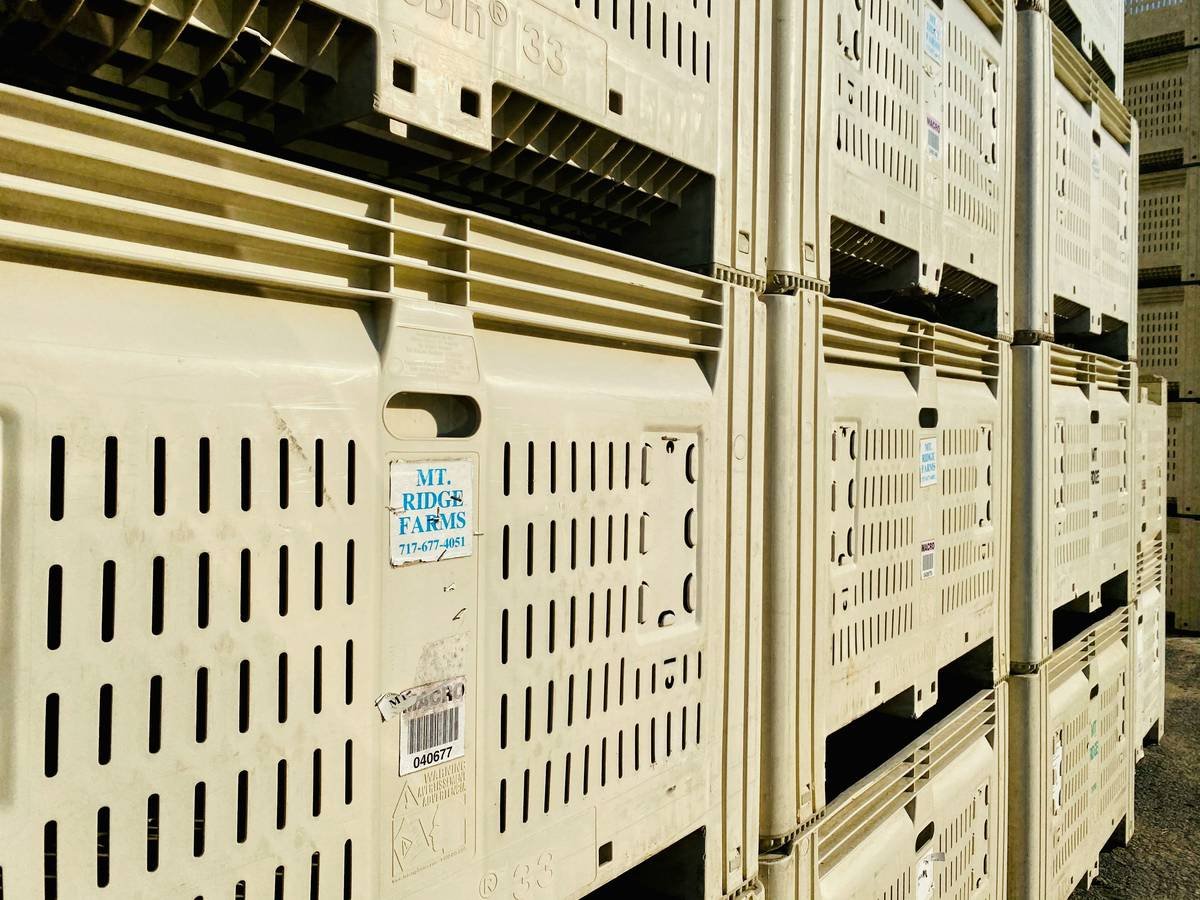 A smiling woman holding a Pelican hard drive case after surviving a flood
